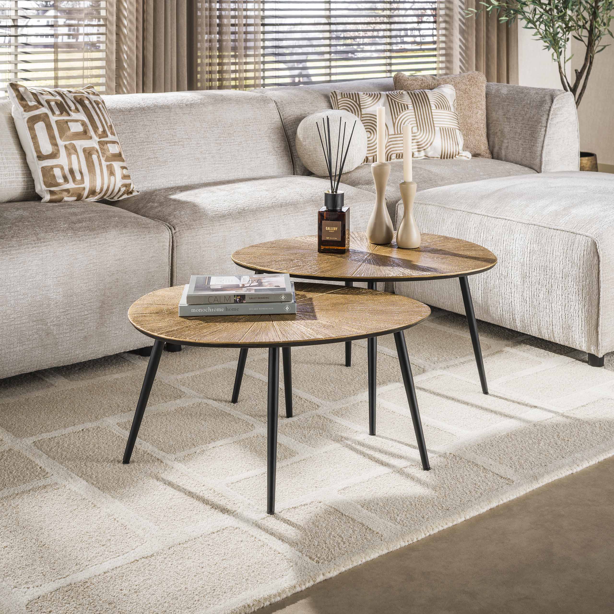 Salontafel Ray organisch set/2