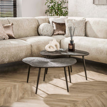 Couchtisch Brown Ray organisch 2er-Set