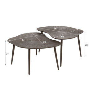 Salontafel Brown Ray organisch set/2