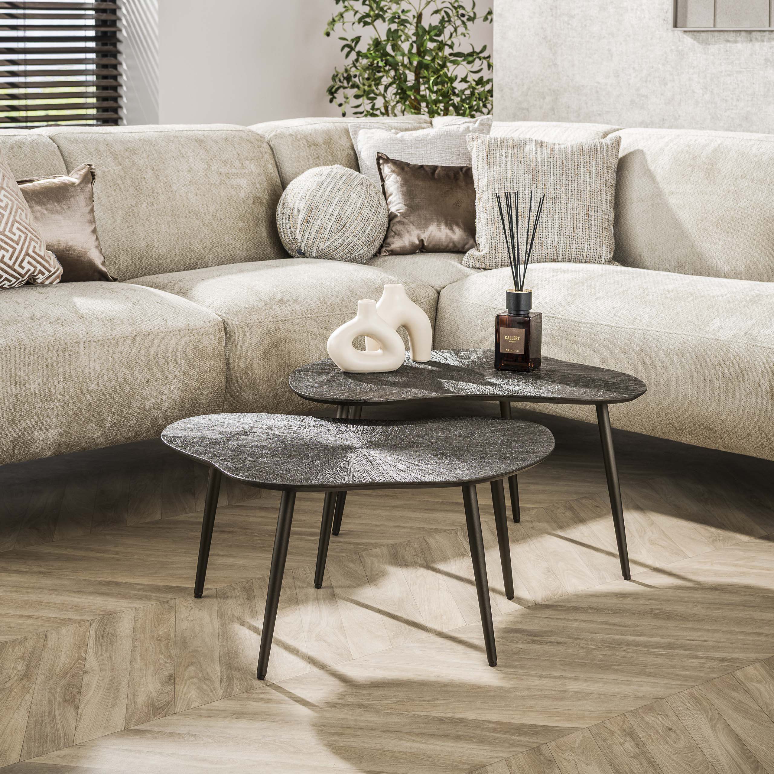 Couchtisch Brown Ray organisch 2er-Set