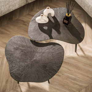 Salontafel Brown Ray organisch set/2