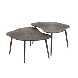 Salontafel Brown Ray organisch set/2