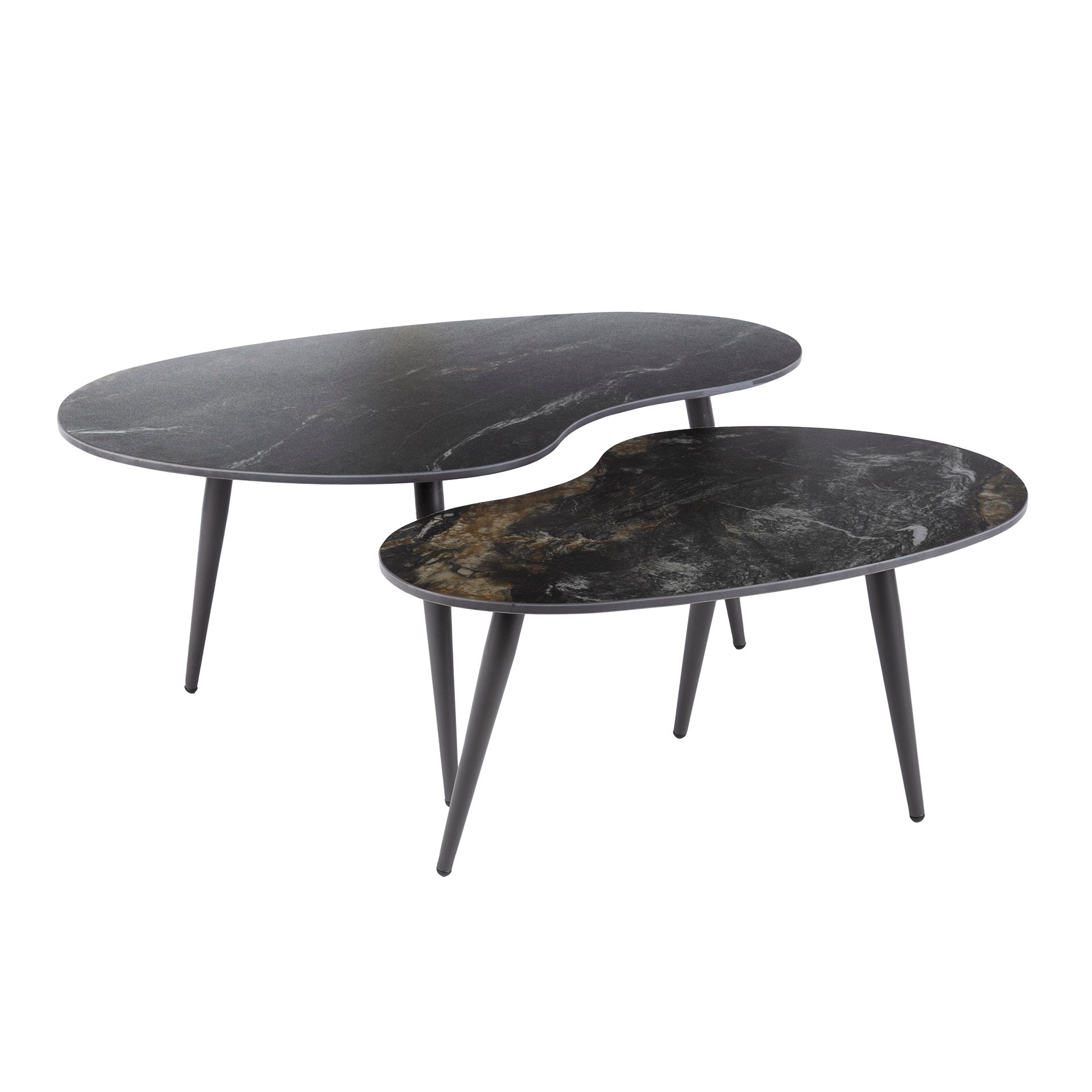 Salontafel Fossil niervormig set/2