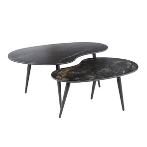 Salontafel Fossil niervormig set/2