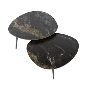 Salontafel Fossil organisch set/2