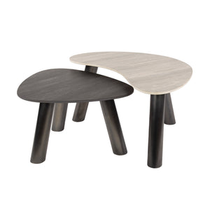 Salontafel Twin organisch set/2
