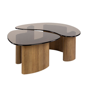 Salontafel Tinto organisch set/2