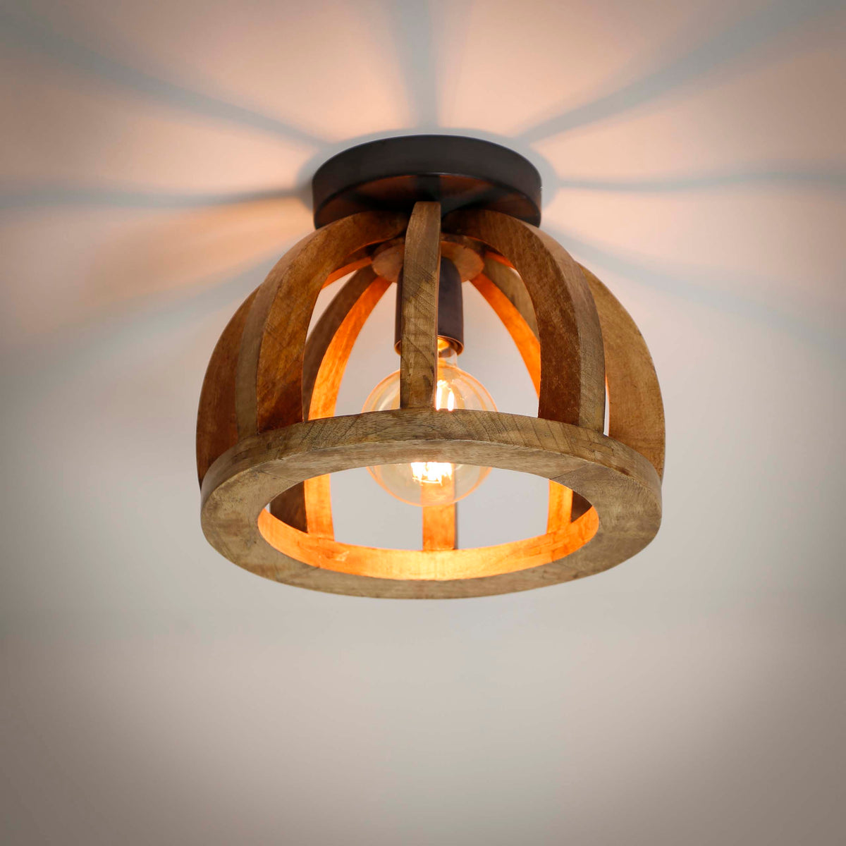 Plafondlamp Orba 1L