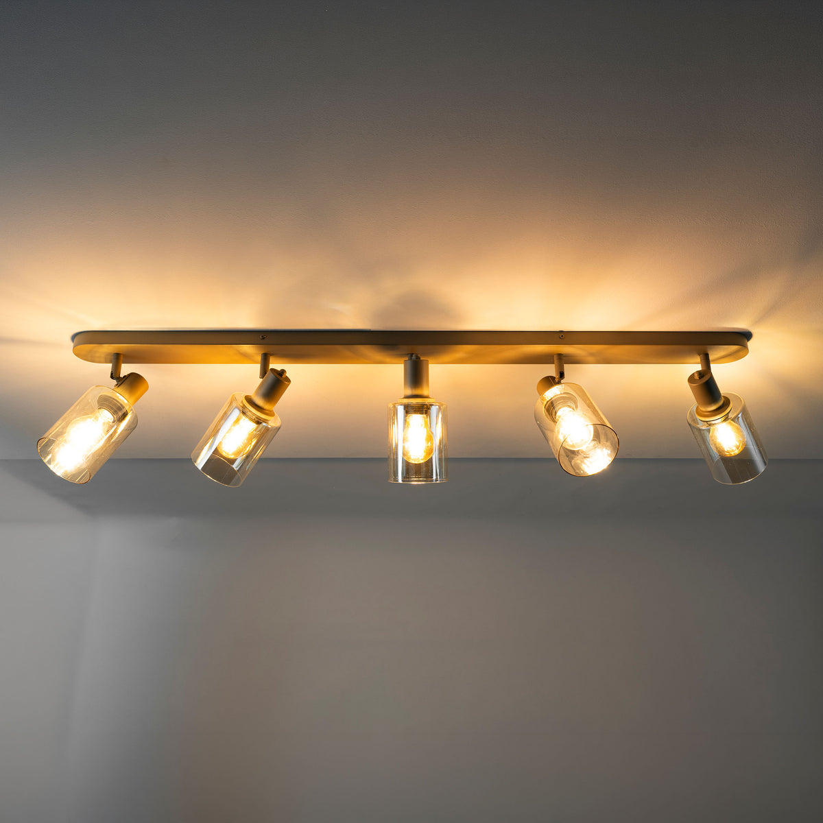 Plafondlamp Sepiora 5L