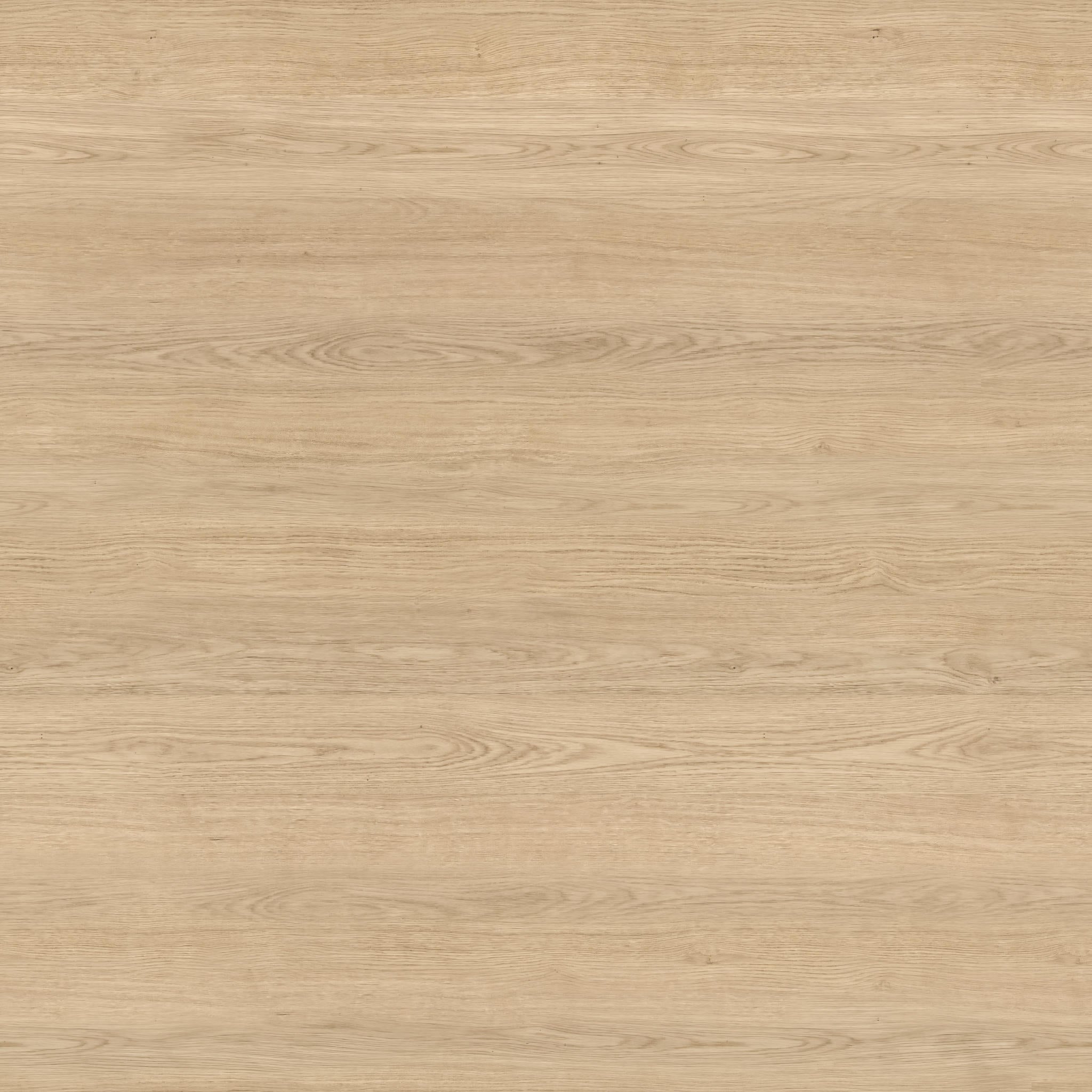 Natuurlijk eiken sample