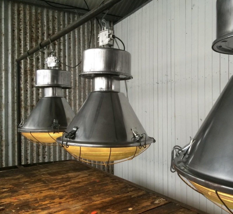 Toezicht houden Uiterlijk Graag gedaan INDUSTRIËLE LAMP BELL GEPOLIJST online bestellen bij Industrial-Home